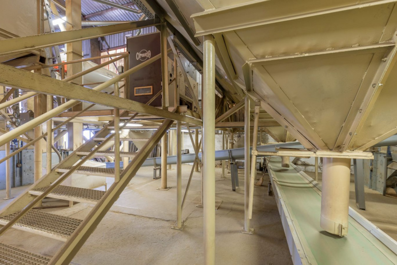 Naša ponuka / Osivá obilnín, olejnín, strukovín a tráv - foto