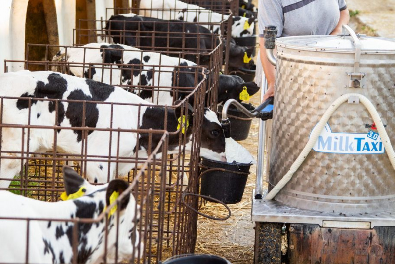 Naša ponuka / Živočíšna výroba - foto