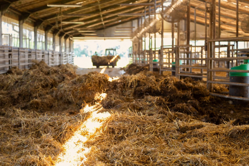 Naša ponuka / Živočíšna výroba - foto