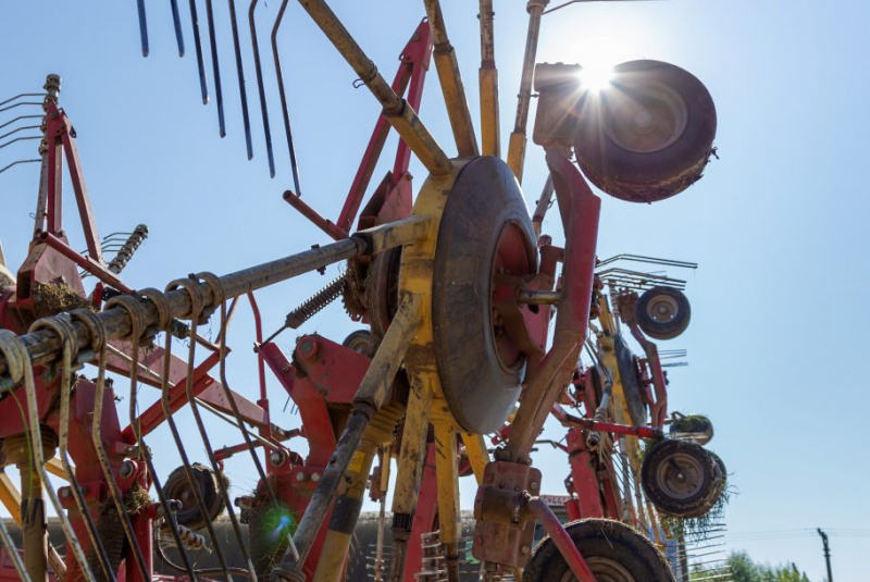 Naša ponuka / Rastlinná výroba - foto