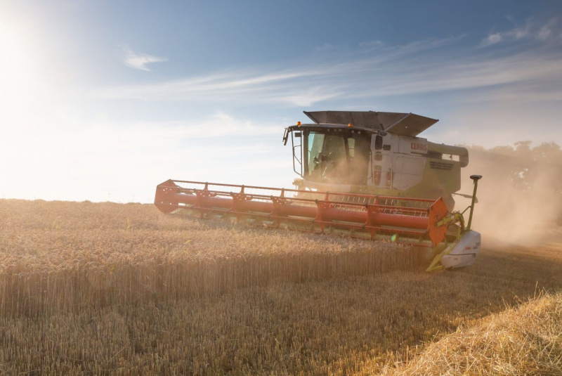 Naša ponuka / Rastlinná výroba - foto