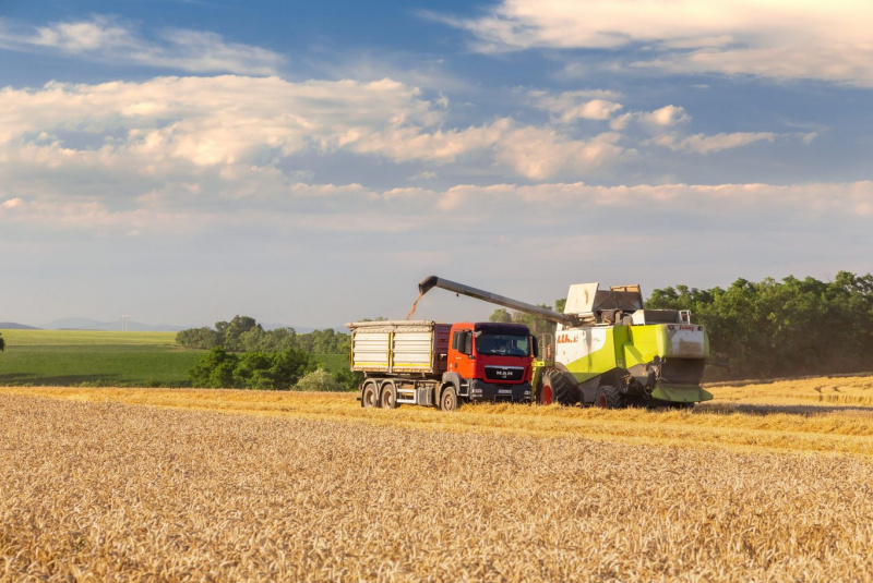 Naša ponuka / Rastlinná výroba - foto